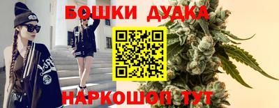 спайс Обь