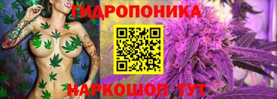 apvp Нягань