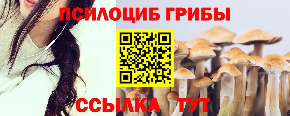 Псилоцибиновые грибы MAGIC MUSHROOMS Саратов